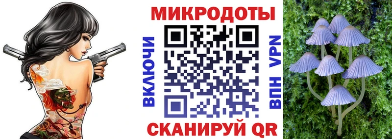 darknet как зайти  хочу наркоту  Кыштым  Галлюциногенные грибы мухоморы 