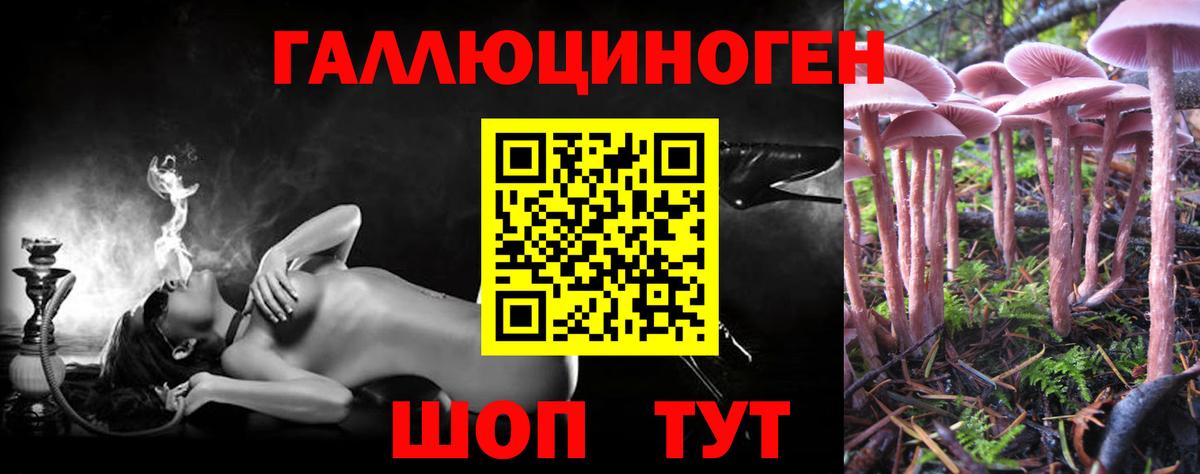 что такое   Псилоцибиновые грибы мухоморы  Вход с VPN  Кыштым 